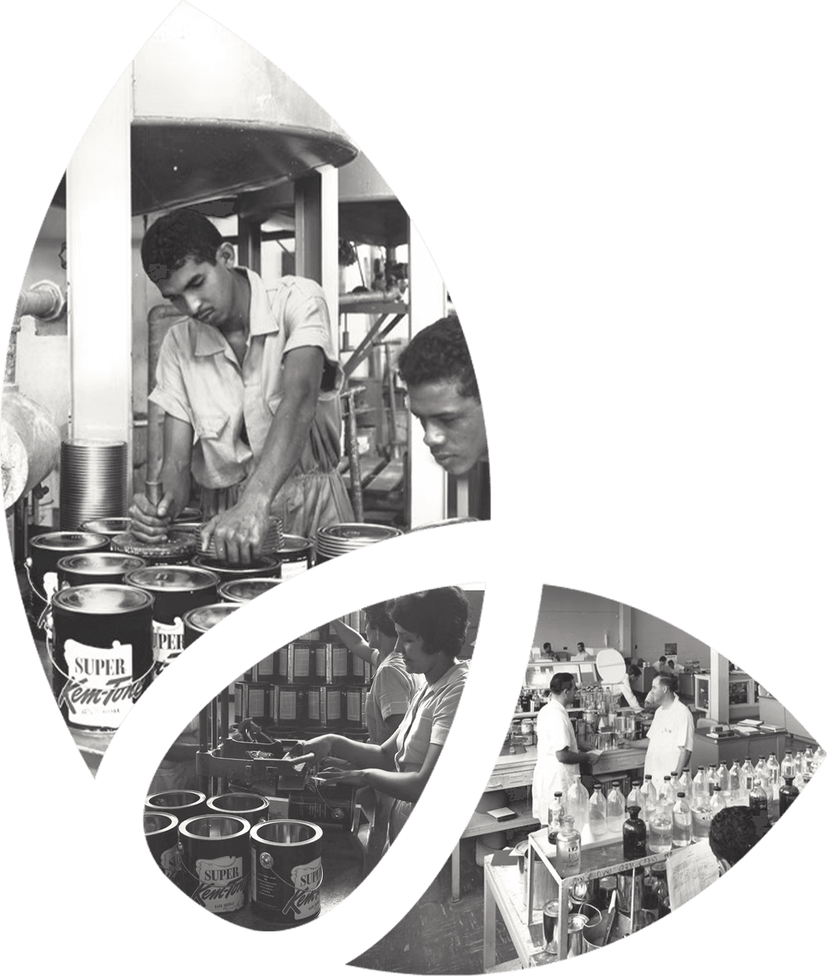 Historia de Venezolana de Pinturas